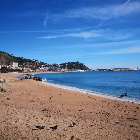 Fantastico En El Centro De Y A 150mts De La Playa Daire