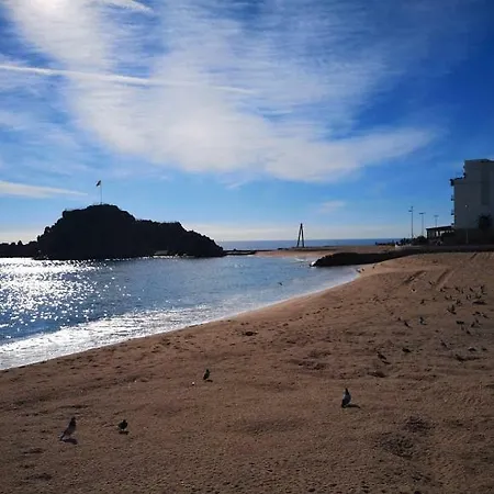 Daire Fantastico En El Centro De Y A 150mts De La Playa